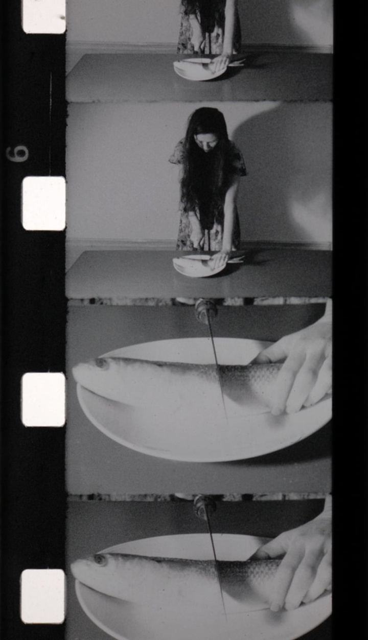 Le Livre brûlé i gruppen Alla filmer hos Mohamad shop (575207)