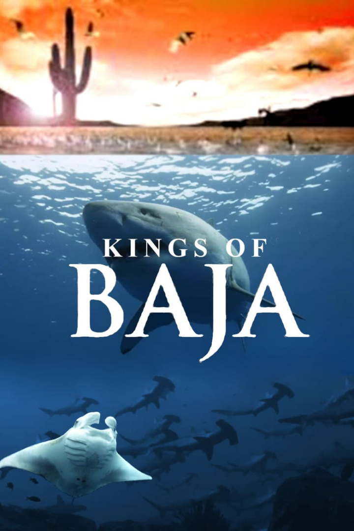 Kings of Baja i gruppen Alla filmer / Documentary hos Mohamad shop (575290)