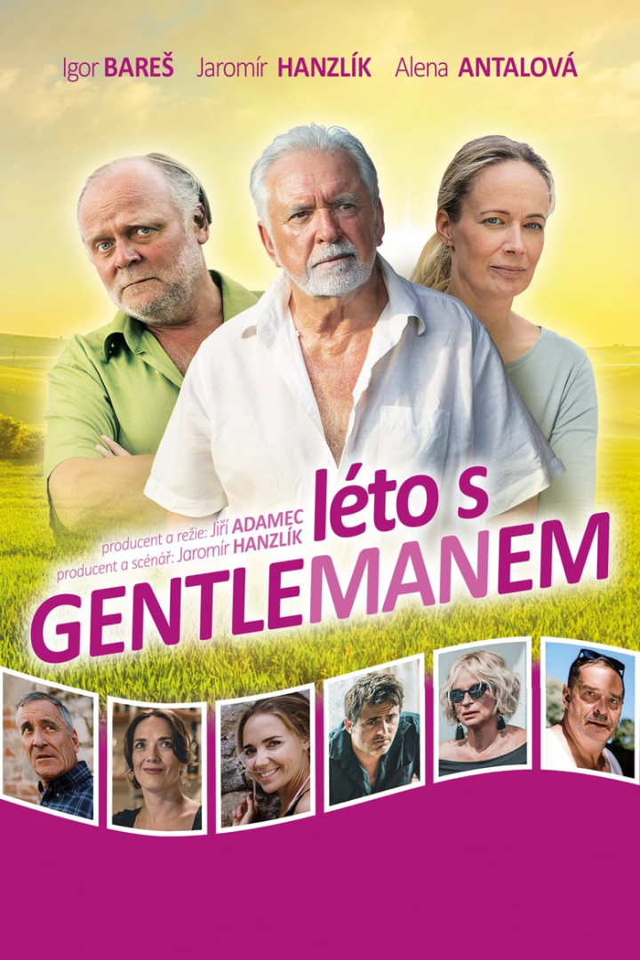 Summer with the gentleman i gruppen Alla filmer / Romance hos Mohamad shop (575329)