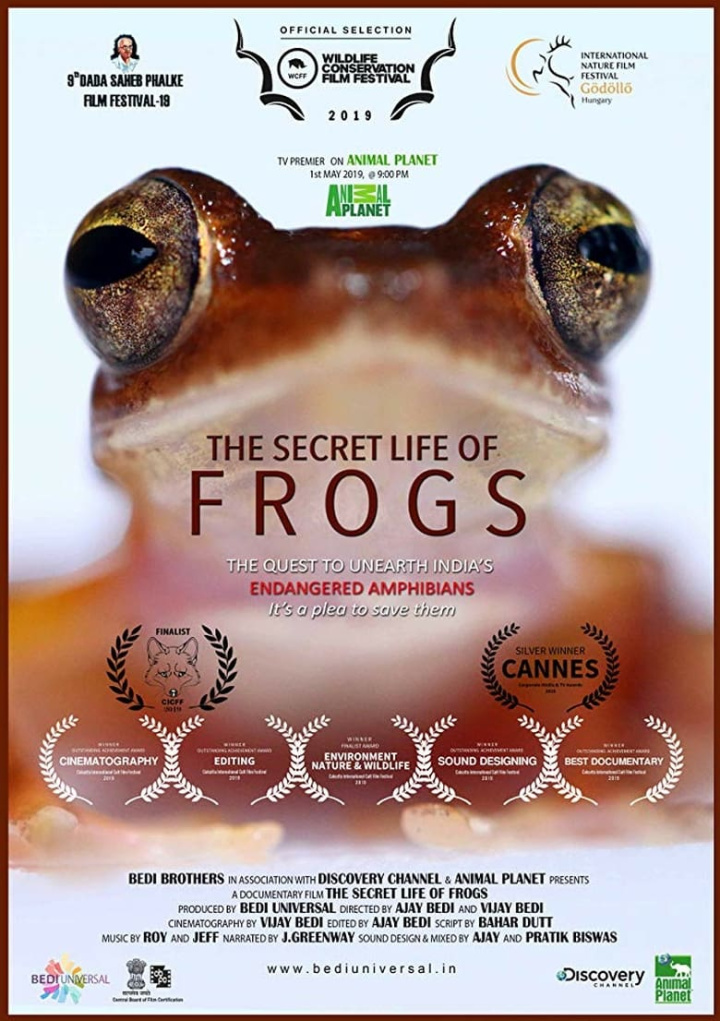 The Secret Life of Frogs i gruppen Alla filmer / Documentary hos Mohamad shop (575639)