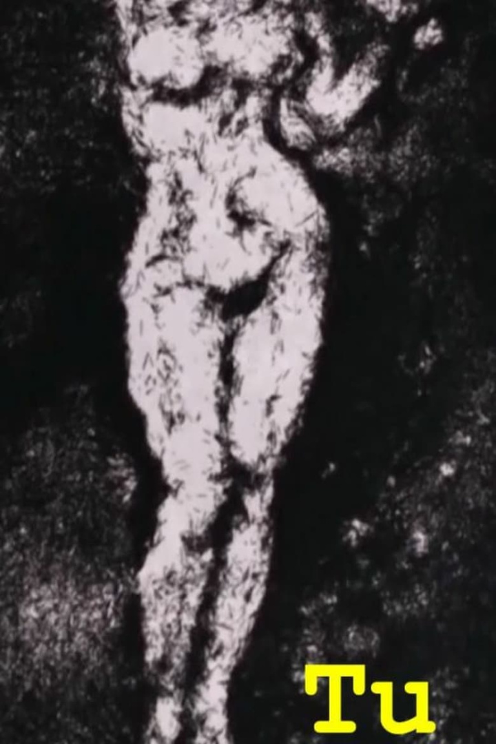 You i gruppen Alla filmer hos Mohamad shop (575653)