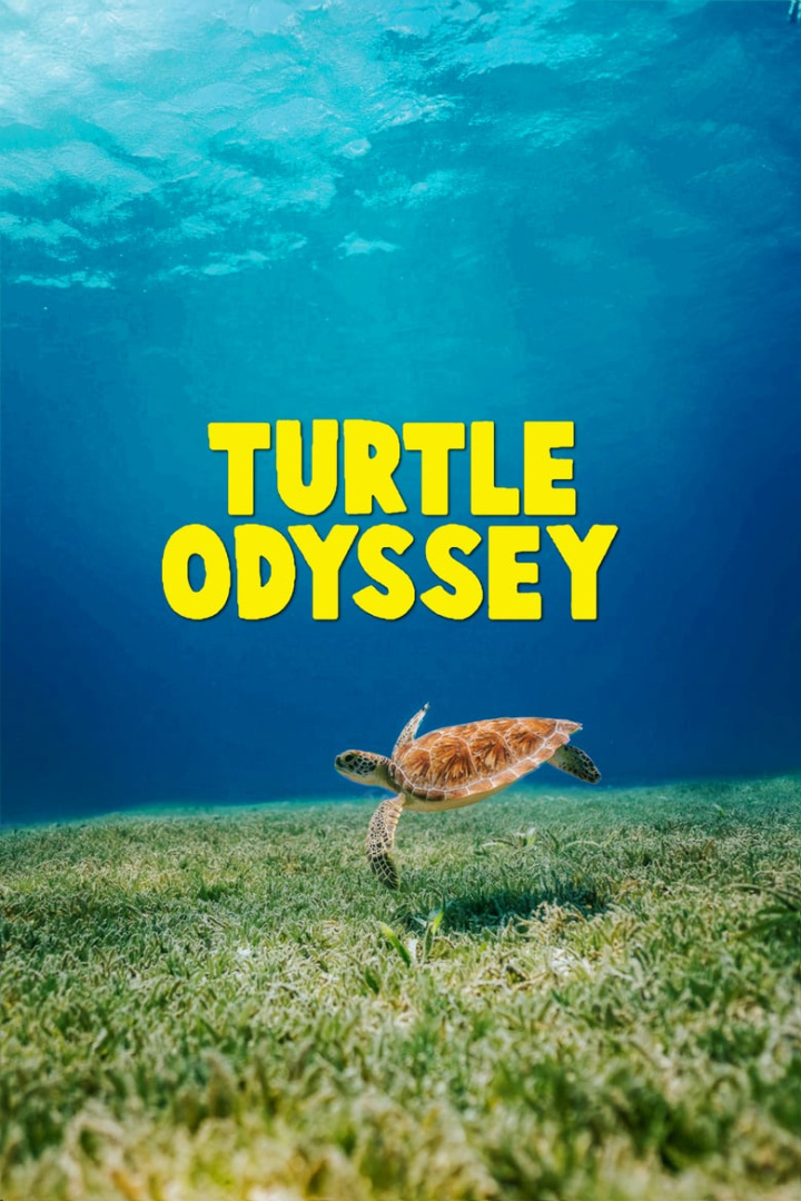 Turtle Odyssey i gruppen Alla filmer / Documentary hos Mohamad shop (575728)