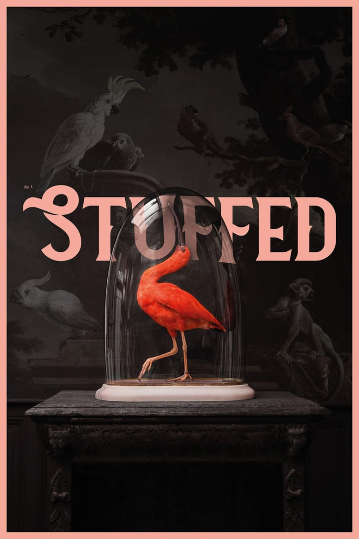 Stuffed i gruppen Alla filmer / Documentary hos Mohamad shop (576558)