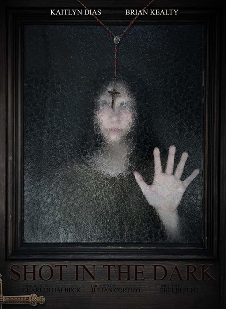 Shot in the Dark i gruppen Alla filmer / Horror hos Mohamad shop (576633)