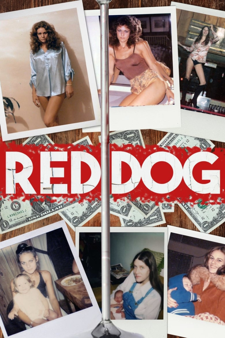 Red Dog i gruppen Alla filmer hos Mohamad shop (576699)