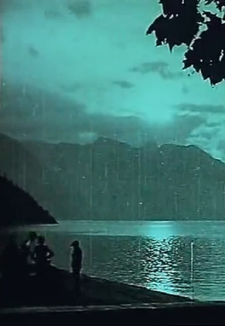 The Italian Switzerland i gruppen Alla filmer / Documentary hos Mohamad shop (576800)