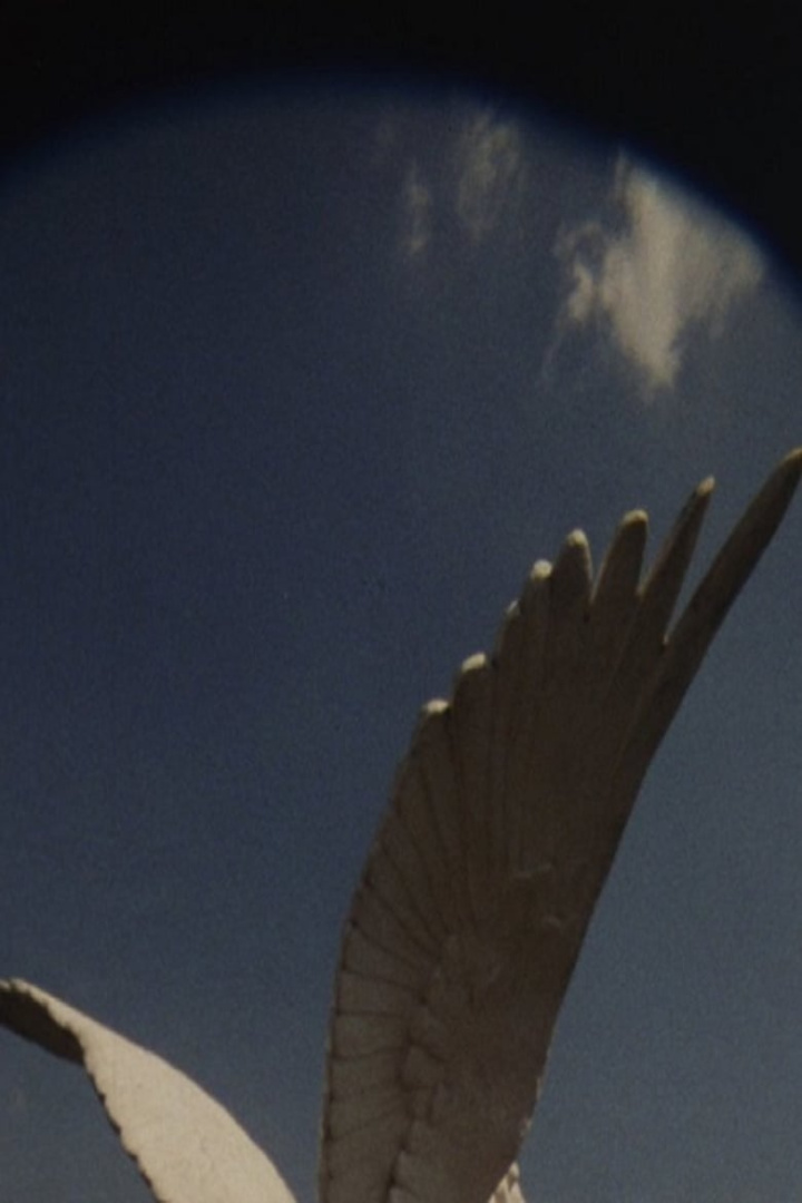 The House Is Yet to be Built i gruppen Alla filmer / Documentary hos Mohamad shop (576886)