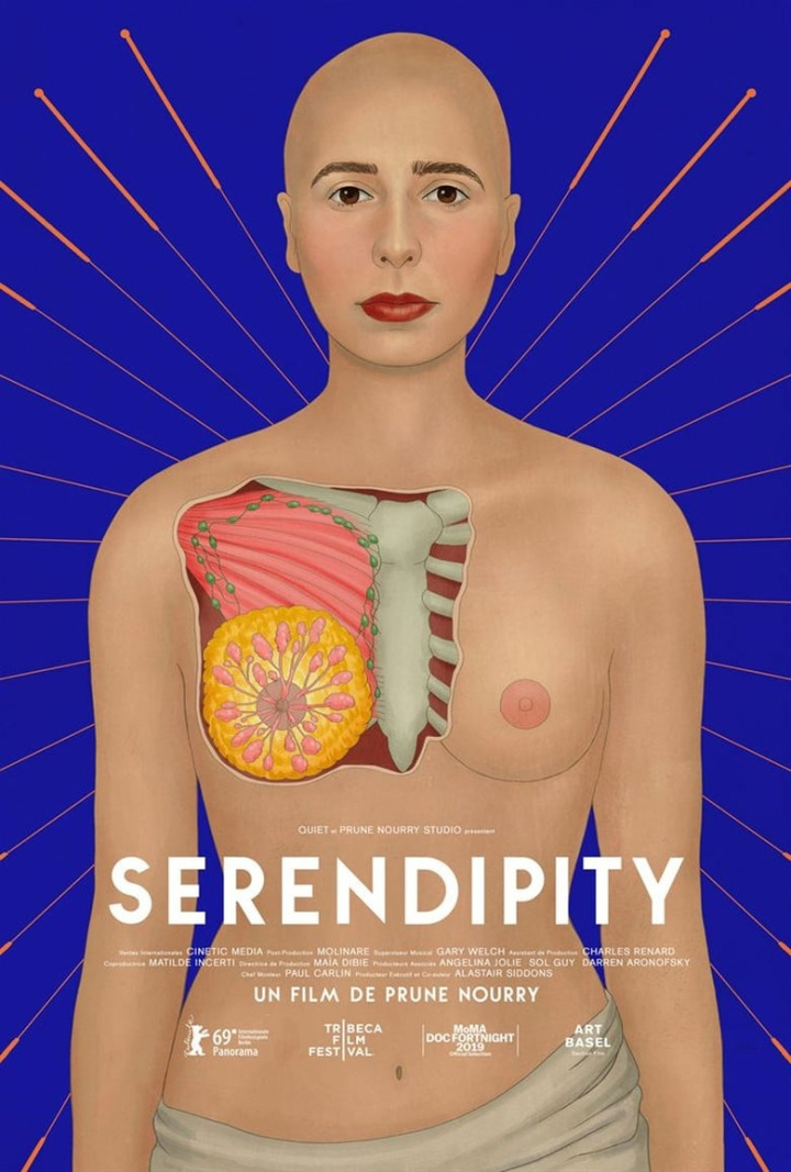 Serendipity i gruppen Alla filmer / Documentary hos Mohamad shop (577095)