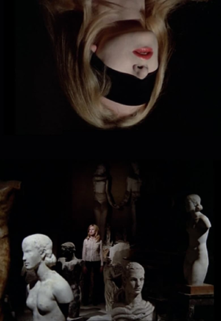 De mes amours décomposées i gruppen Alla filmer / Horror hos Mohamad shop (577214)