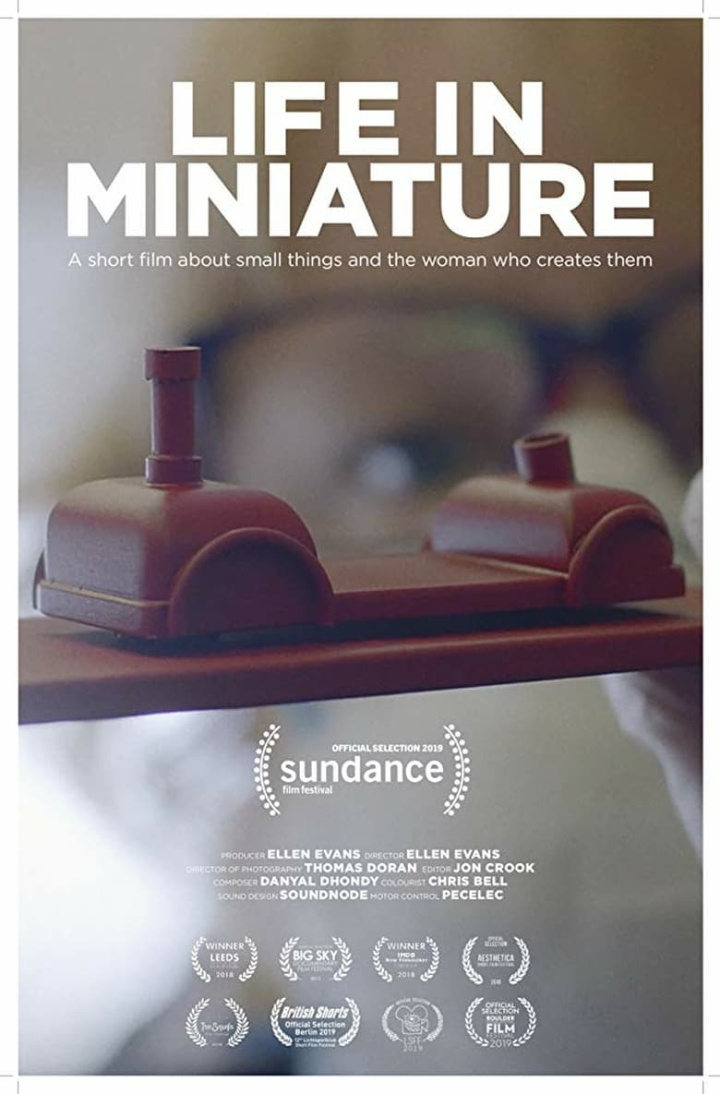 Life in Miniature i gruppen Alla filmer / Drama hos Mohamad shop (577260)