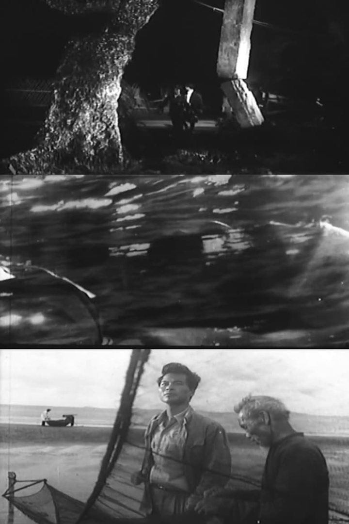 Stars on the Sea i gruppen Drama hos Mohamad shop (577331)