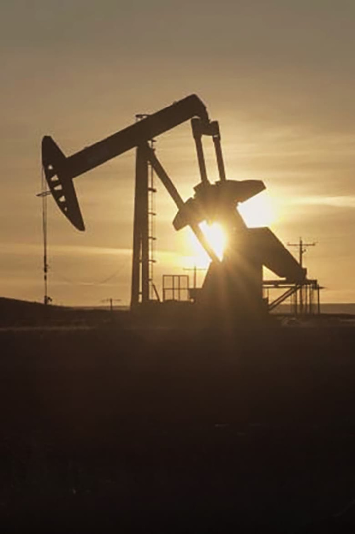 Sundogs i gruppen Alla filmer hos Mohamad shop (577497)