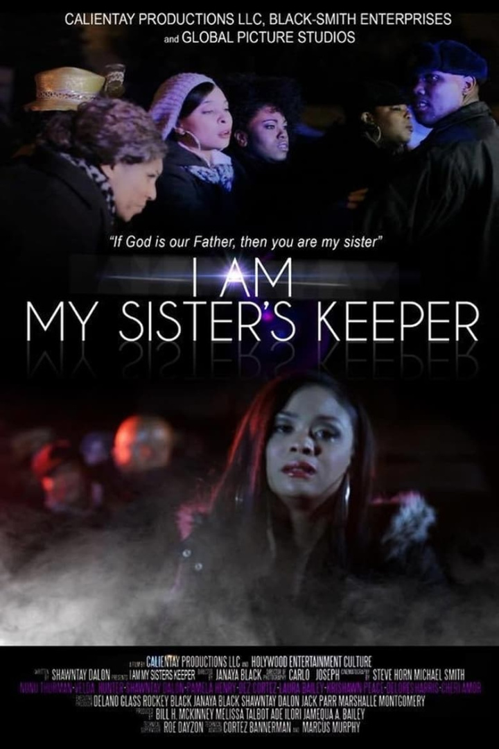 I Am My Sister\'s Keeper i gruppen Alla filmer / Drama hos Mohamad shop (577620)