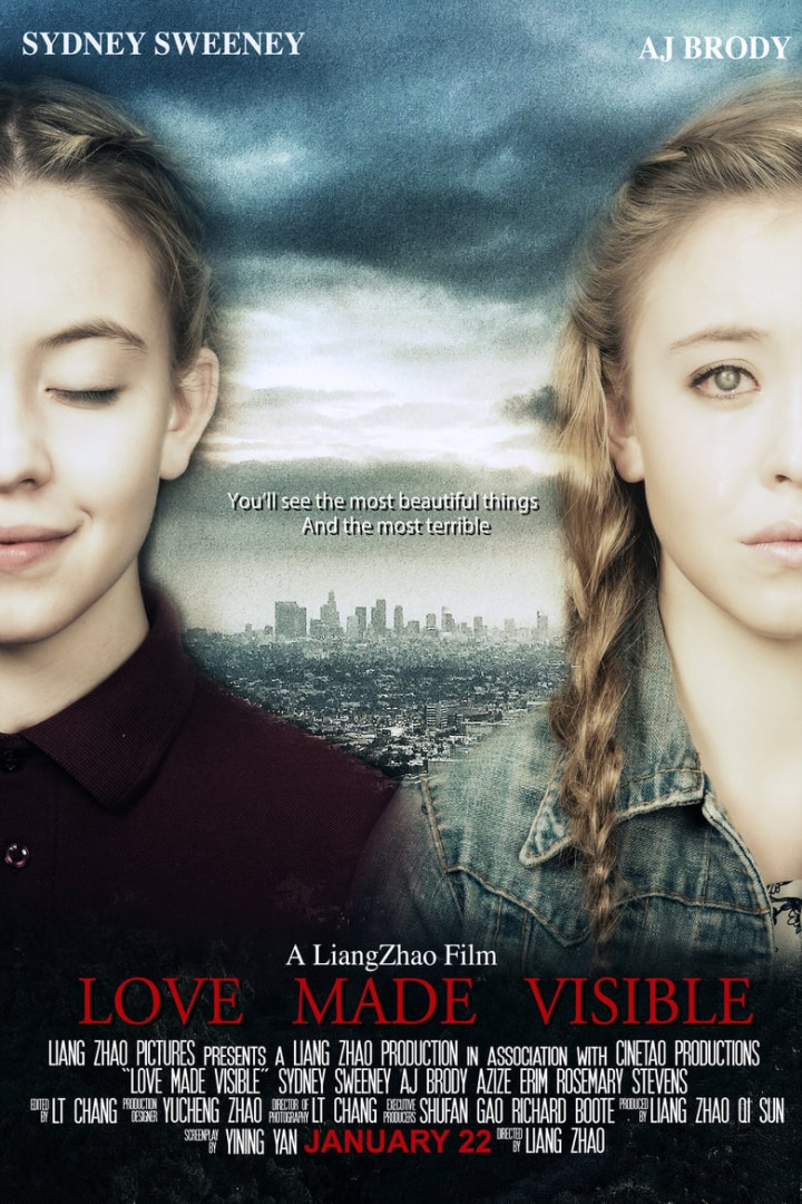 Love Made Visible i gruppen Alla filmer / Drama hos Mohamad shop (577901)