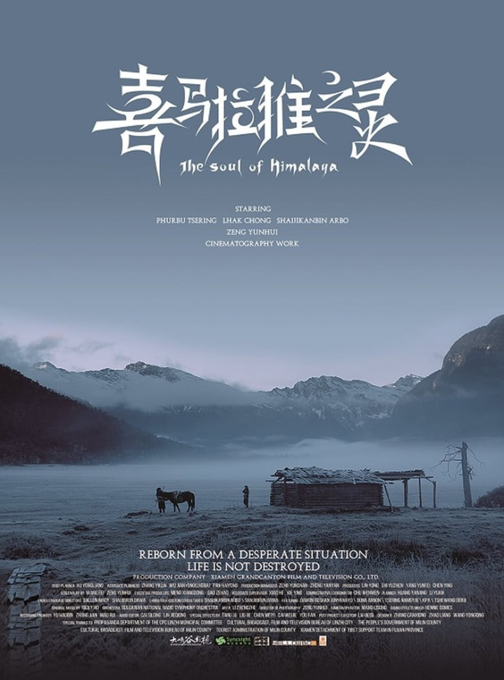 The Soul of Himalaya i gruppen Alla filmer / Drama hos Mohamad shop (578951)