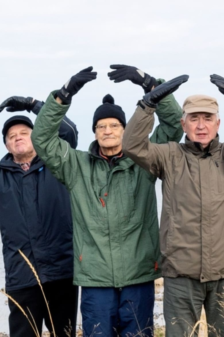 The Wild Swans i gruppen Alla filmer / Documentary hos Mohamad shop (579915)