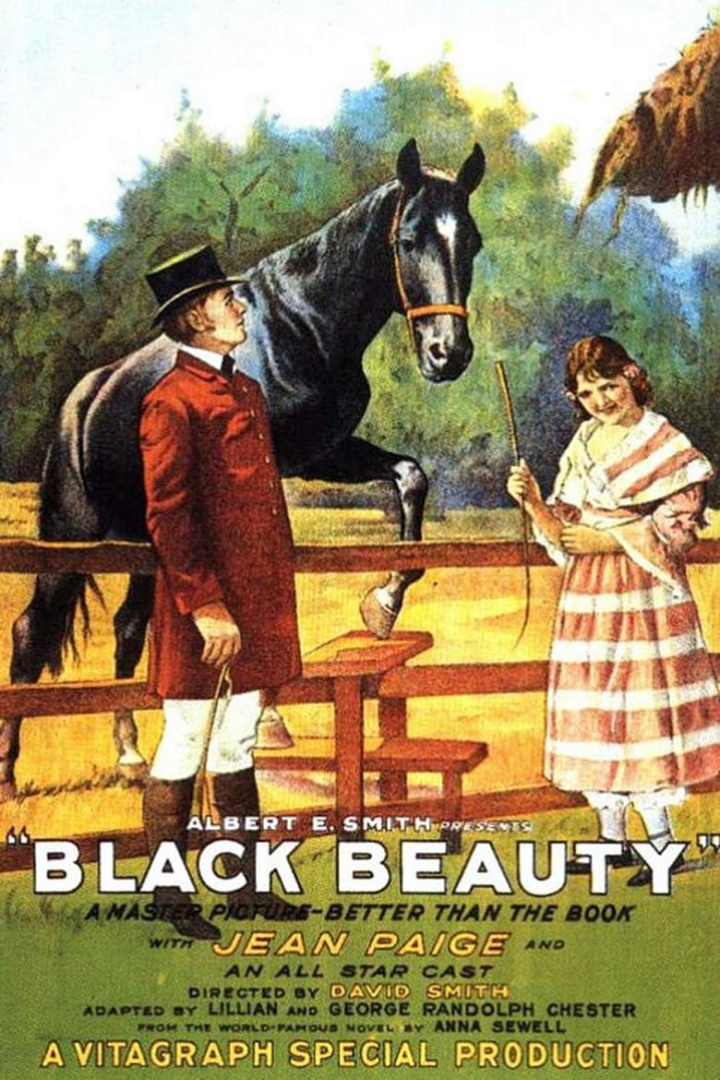 Black Beauty i gruppen Alla filmer / Drama hos Mohamad shop (580237)