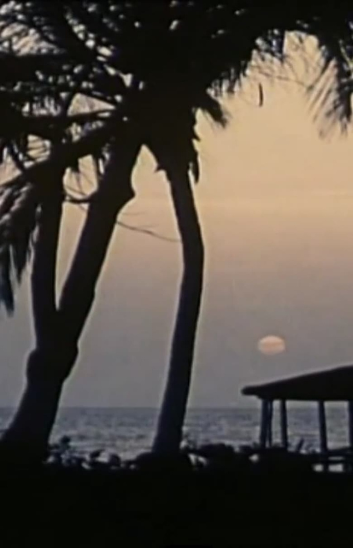 Hirde Dyama i gruppen Alla filmer hos Mohamad shop (580238)