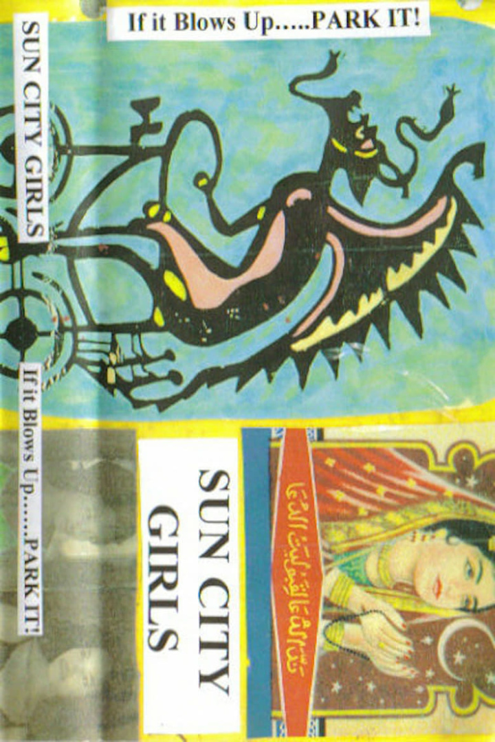 If It Blows Up... Park It! i gruppen Alla filmer / Music hos Mohamad shop (580338)