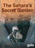 The Sahara\'s Secret Garden
