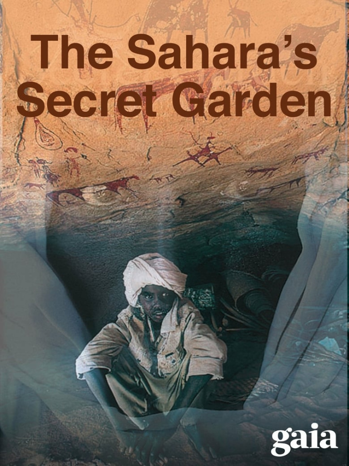 The Sahara\'s Secret Garden i gruppen Alla filmer / Documentary hos Mohamad shop (581080)