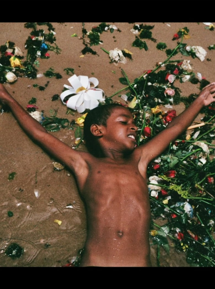 “Às vezes os olhos brilham a ponto de marejar.” i gruppen Alla filmer / Documentary hos Mohamad shop (581565)