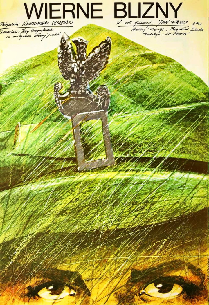 Wierne blizny i gruppen Alla filmer hos Mohamad shop (581763)