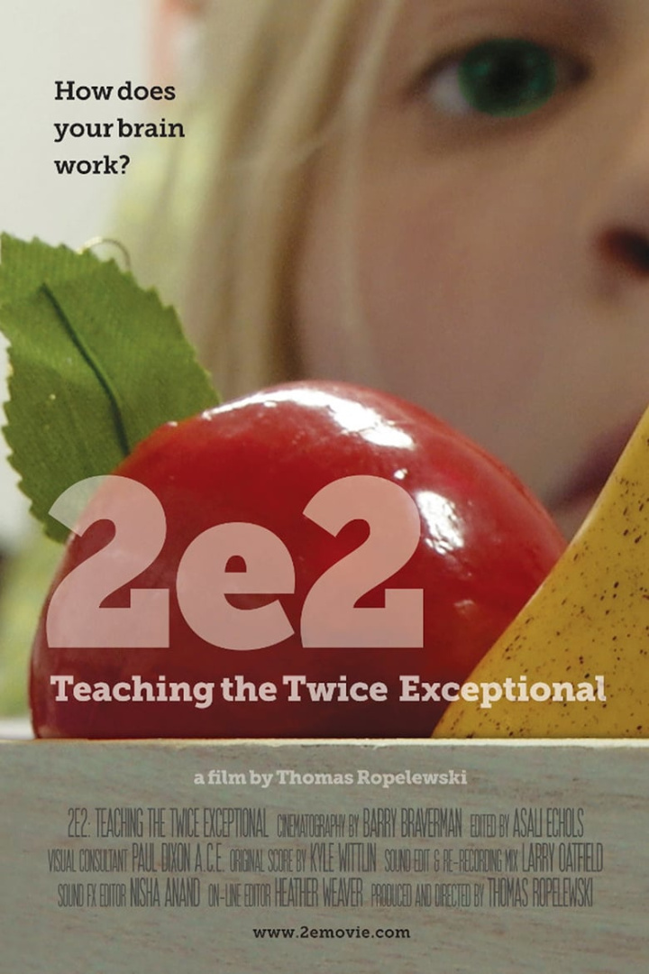 2e2: Teaching the Twice Exceptional i gruppen Alla filmer hos Mohamad shop (581835)