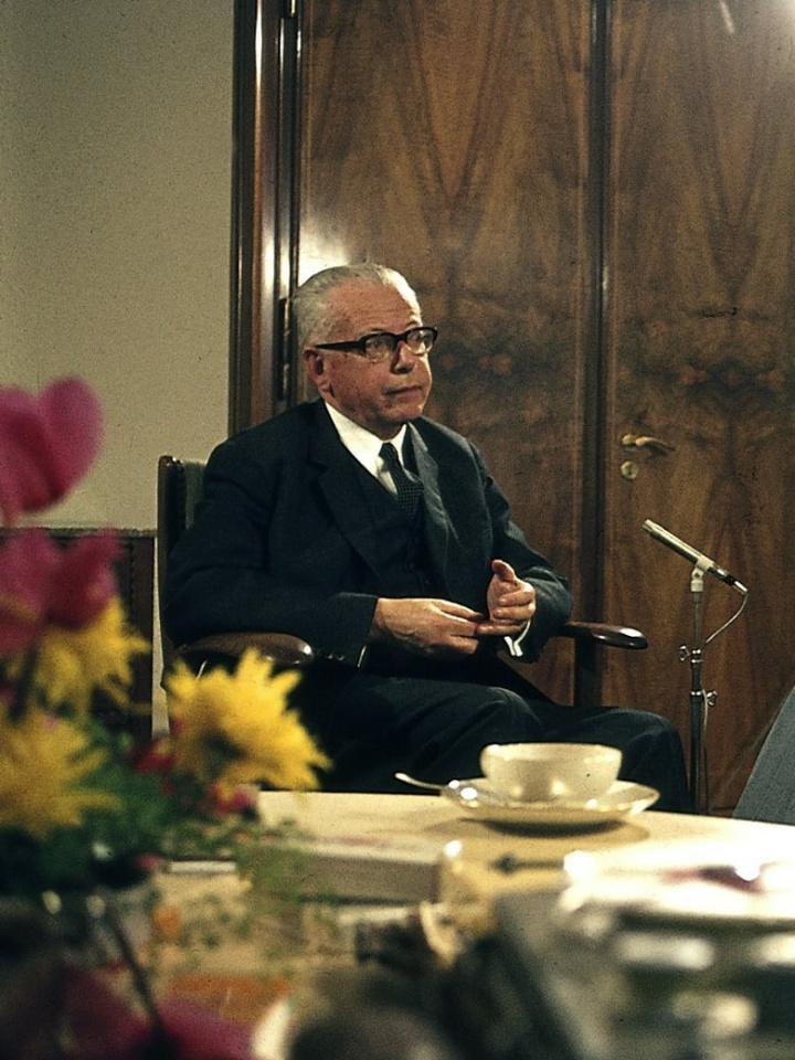 Es gibt schwierige Vaterländer, eins davon ist Deutschland i gruppen Alla filmer / Documentary hos Mohamad shop (581900)