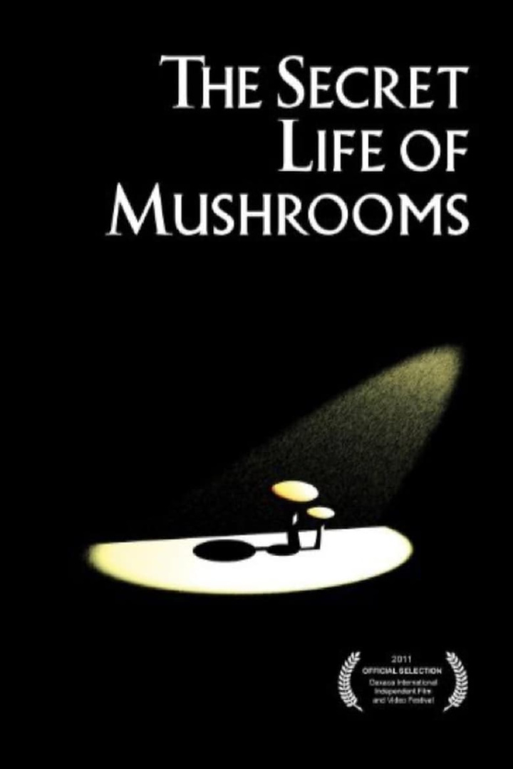 The Secret Life of Mushrooms i gruppen Alla filmer / Documentary hos Mohamad shop (582147)