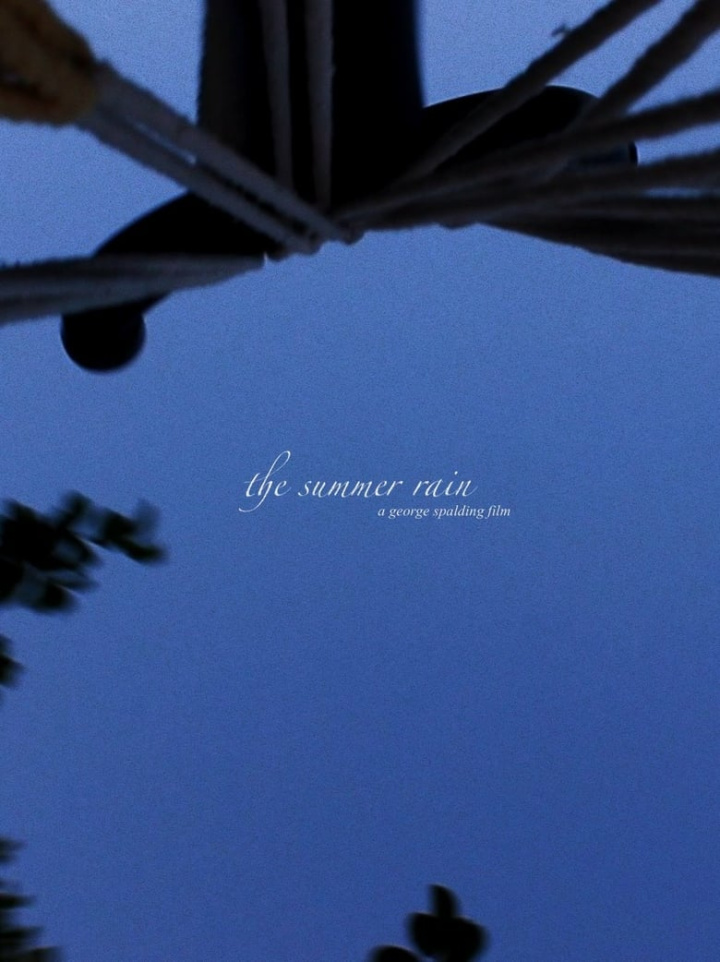 The Summer Rain i gruppen Alla filmer / Romance hos Mohamad shop (583151)