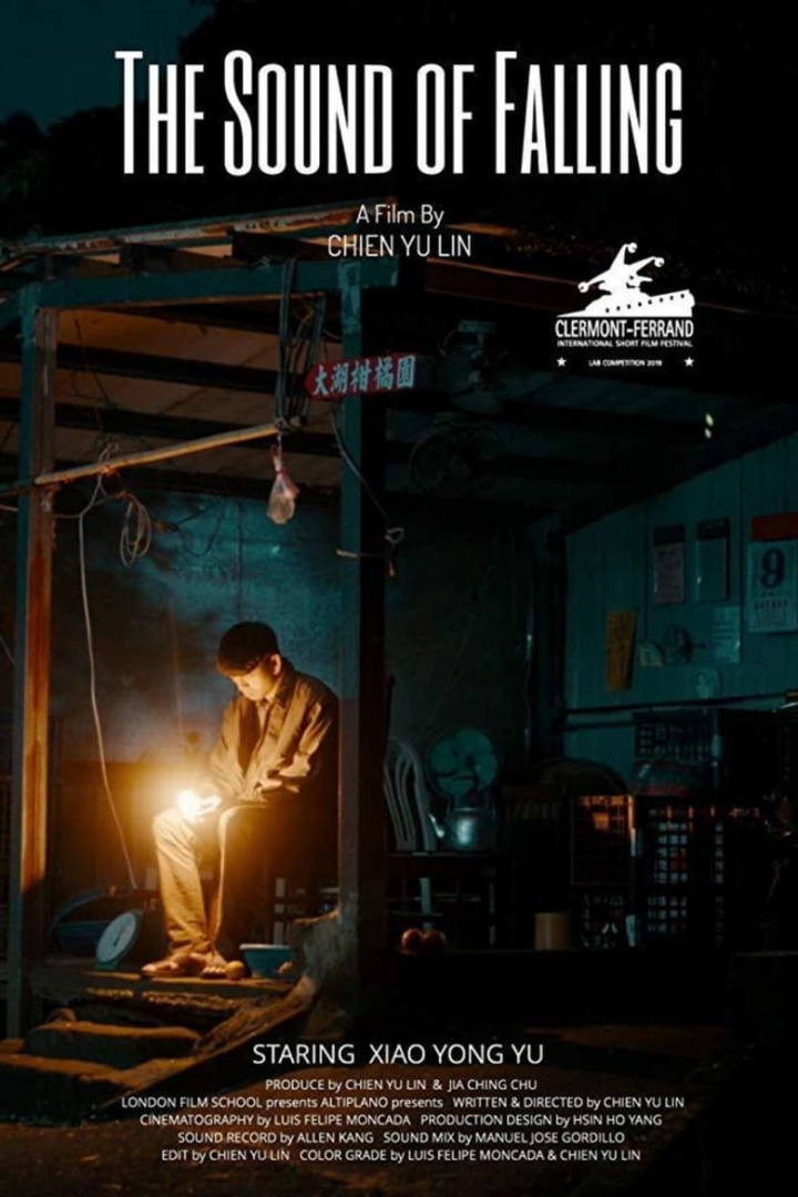 The Sound of Falling i gruppen Alla filmer / Drama hos Mohamad shop (583447)