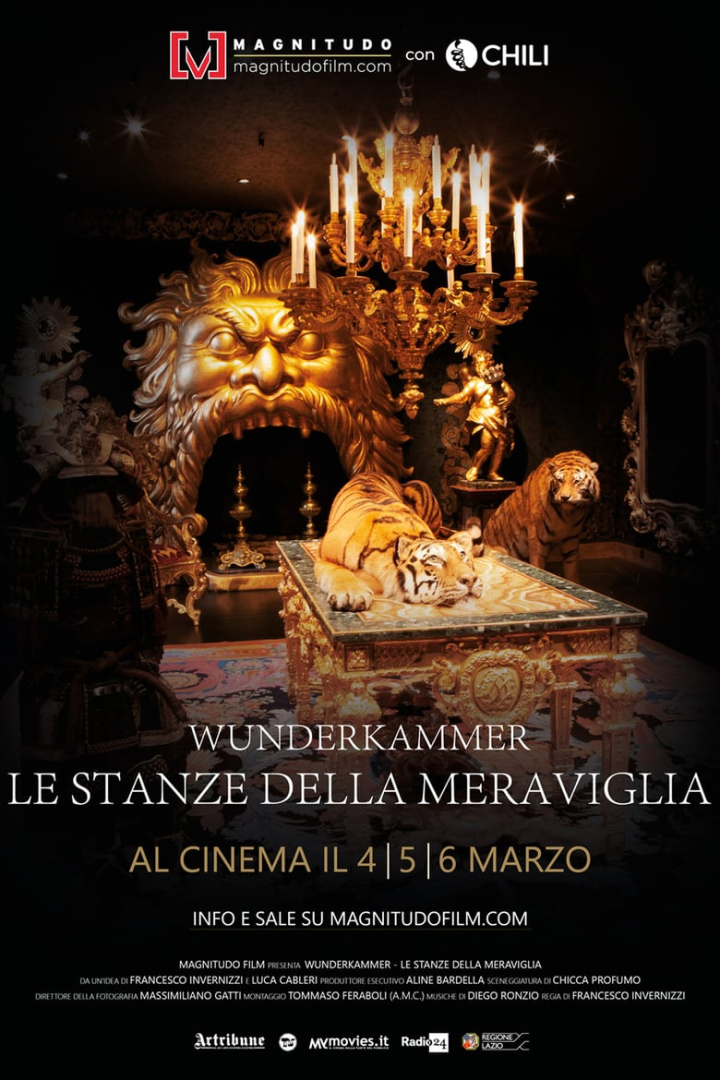 Wunderkammer: World of Wonder i gruppen Alla filmer / Documentary hos Mohamad shop (583718)