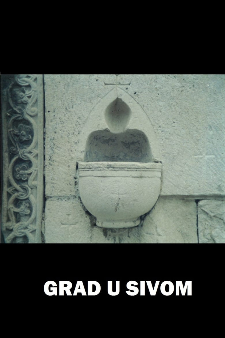 City in Grey i gruppen Alla filmer / Documentary hos Mohamad shop (584478)