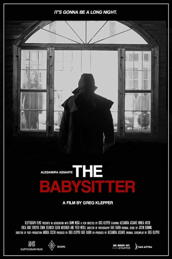The Babysitter i gruppen Alla filmer / Thriller hos Mohamad shop (584545)