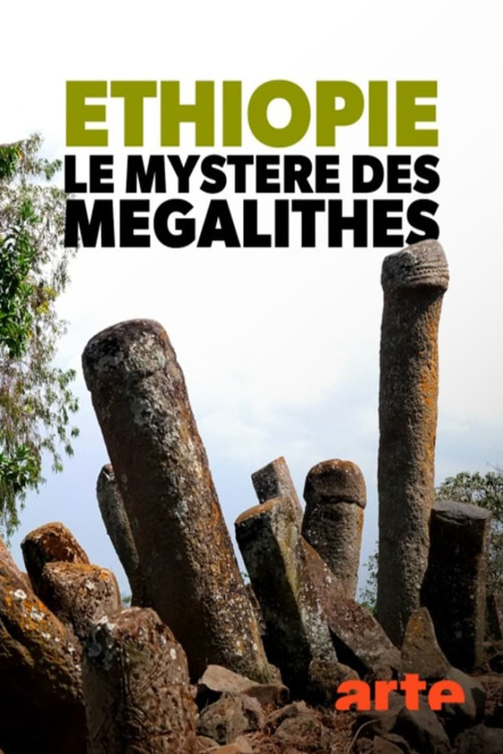 Éthiopie, le mystère des mégalithes i gruppen Alla filmer / Documentary hos Mohamad shop (584559)