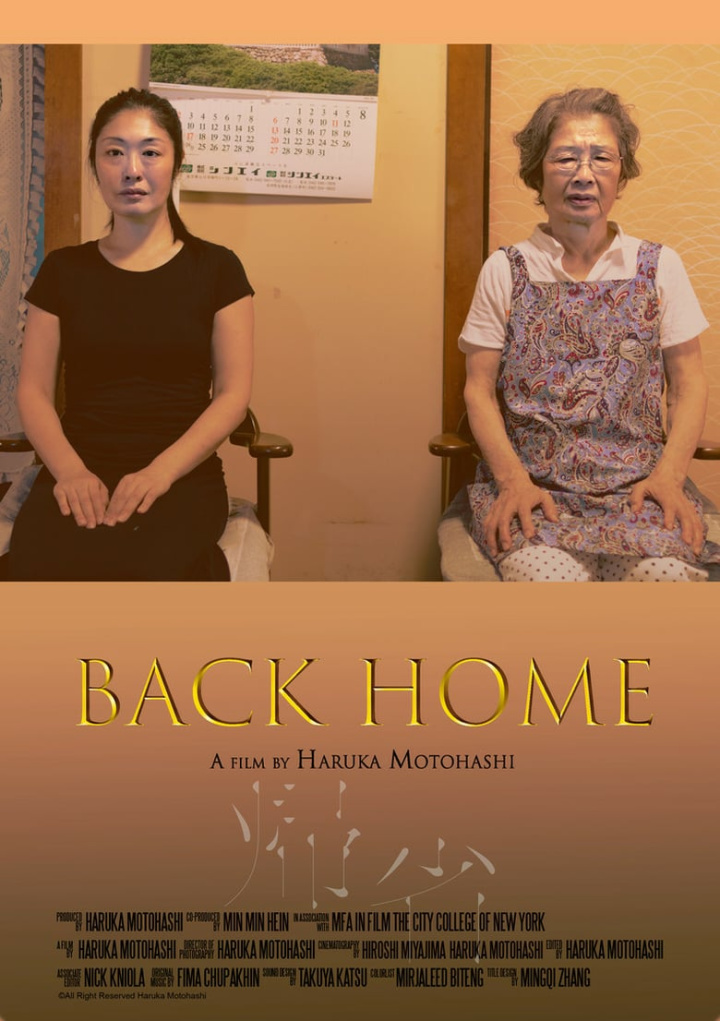 Back Home i gruppen Alla filmer / Documentary hos Mohamad shop (584627)