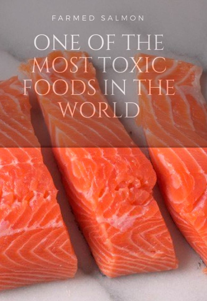 Fish: Farming in Troubled Waters i gruppen Alla filmer / Documentary hos Mohamad shop (584834)