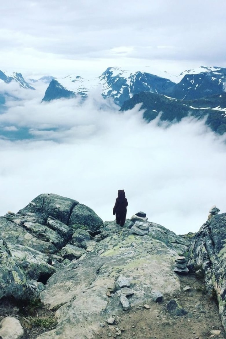 The Bear i gruppen Alla filmer / Drama hos Mohamad shop (584922)