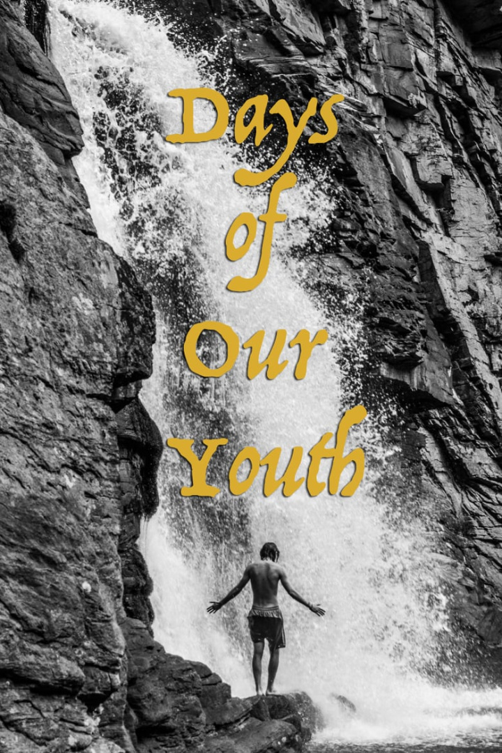 Days of Our Youth i gruppen Alla filmer / Documentary hos Mohamad shop (585029)