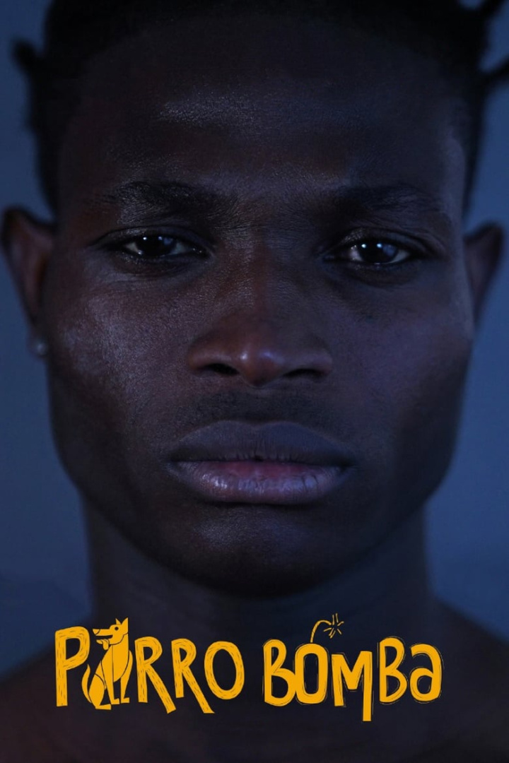 Perro Bomba i gruppen Alla filmer / Drama hos Mohamad shop (585172)