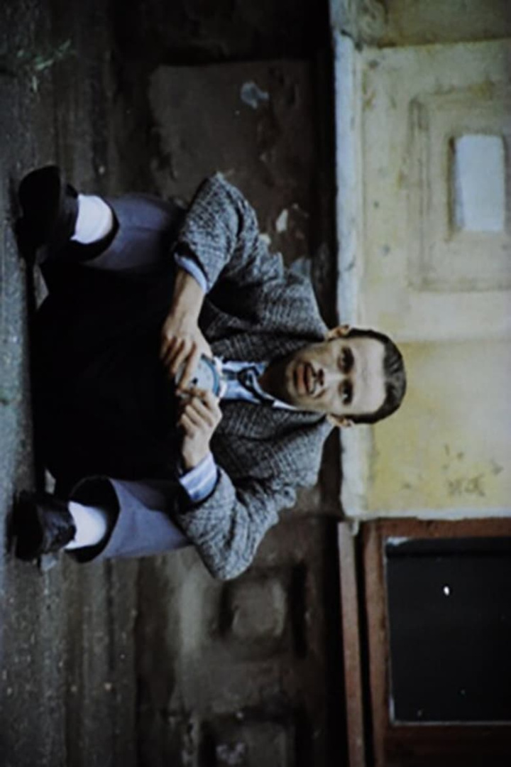 Оранжевый джаз i gruppen Alla filmer hos Mohamad shop (585204)