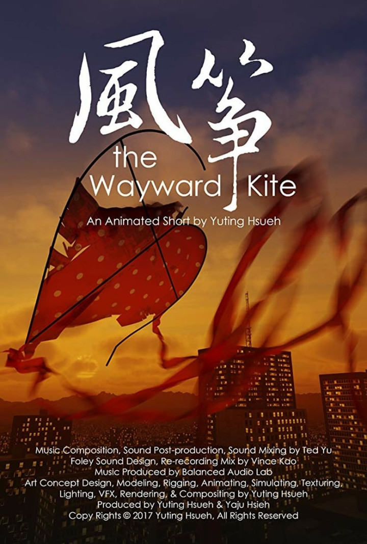 The Wayward Kite i gruppen Alla filmer / Animation hos Mohamad shop (585324)