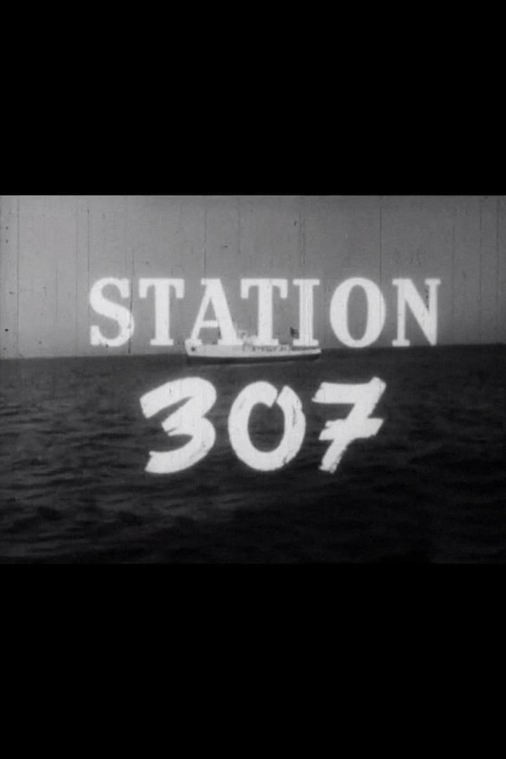 Station 307 i gruppen Alla filmer / Documentary hos Mohamad shop (585548)