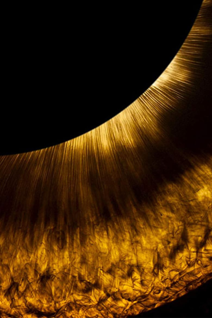 Little Boy i gruppen Alla filmer hos Mohamad shop (585618)