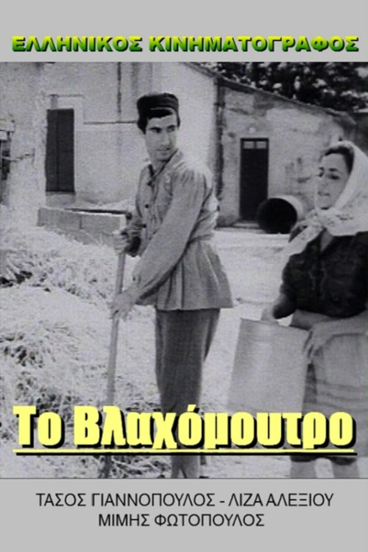 Πράκτωρ Κίτσος καλεί Γαστούνη i gruppen Alla filmer / Comedy hos Mohamad shop (586132)