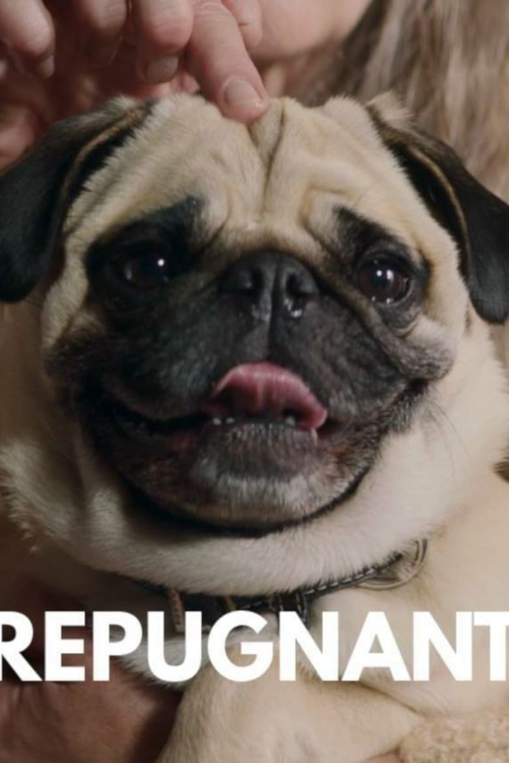 Repugnant i gruppen Alla filmer hos Mohamad shop (586335)