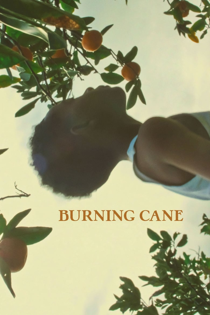 Burning Cane i gruppen Alla filmer / Drama hos Mohamad shop (586454)