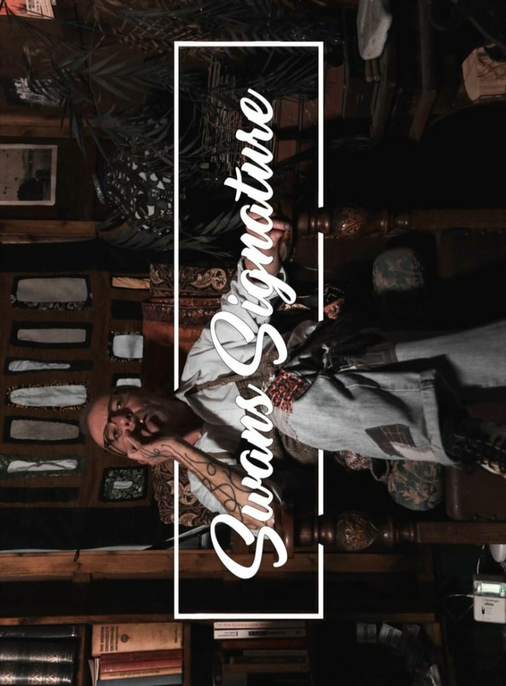 Swans Signature i gruppen Alla filmer / Documentary hos Mohamad shop (587117)