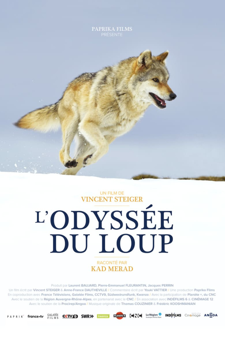 L\'odyssée du loup i gruppen Alla filmer / Documentary hos Mohamad shop (587256)